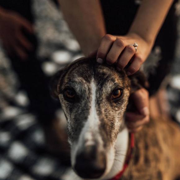 Meet your Posher, Katelyn - Picture 1 of 1